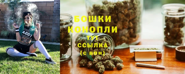 амф Надым