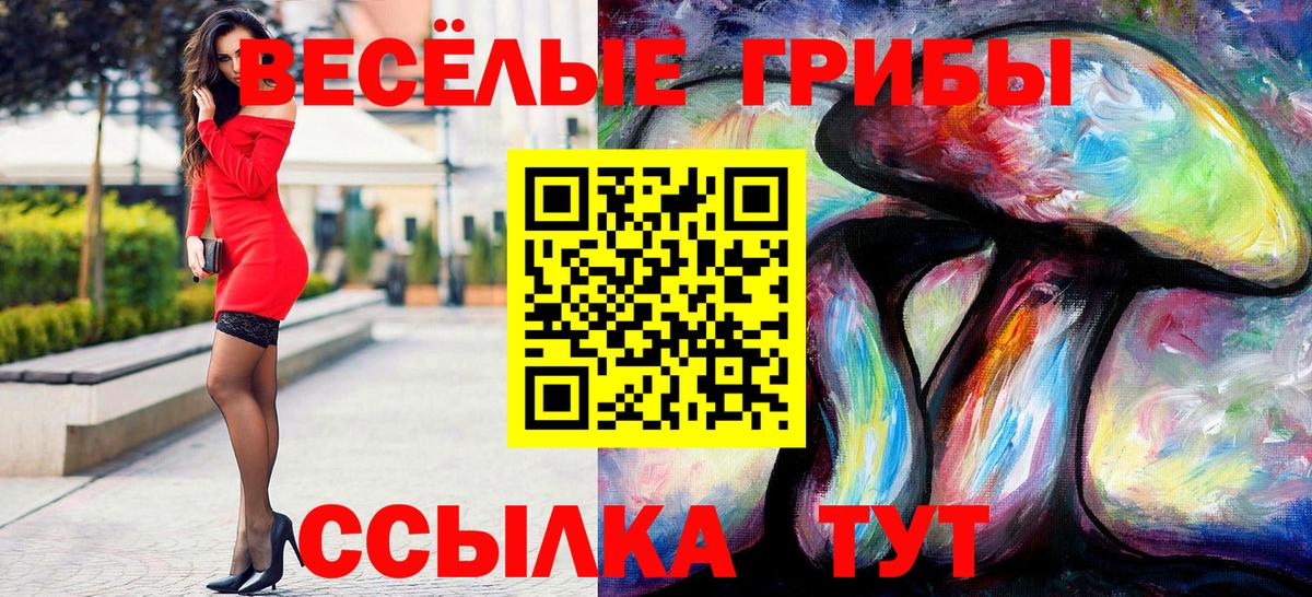 Псилоцибиновые грибы ЛСД  Курчалой  Псилоцибиновые грибы ЛСД 