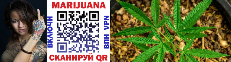 Бошки марихуана OG Kush  дарк нет телеграм  Курчалой 