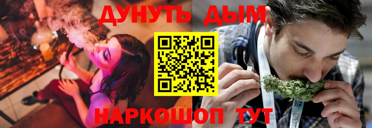 Конопля план  Курчалой 